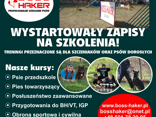 Zapraszamy na szkolenie. 