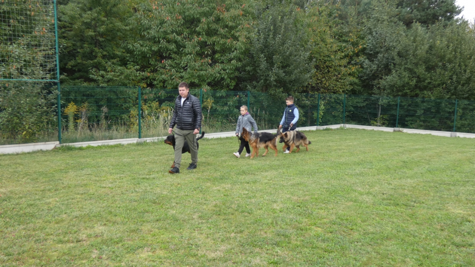 Dziecko szkoli psa...