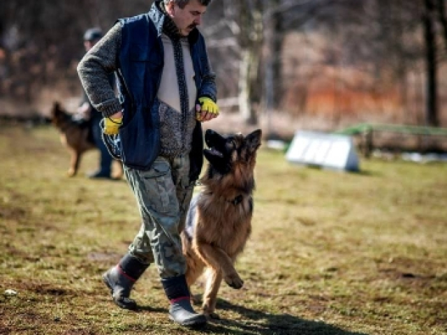 Zapraszamy na Egzaminy 06-05-2023r