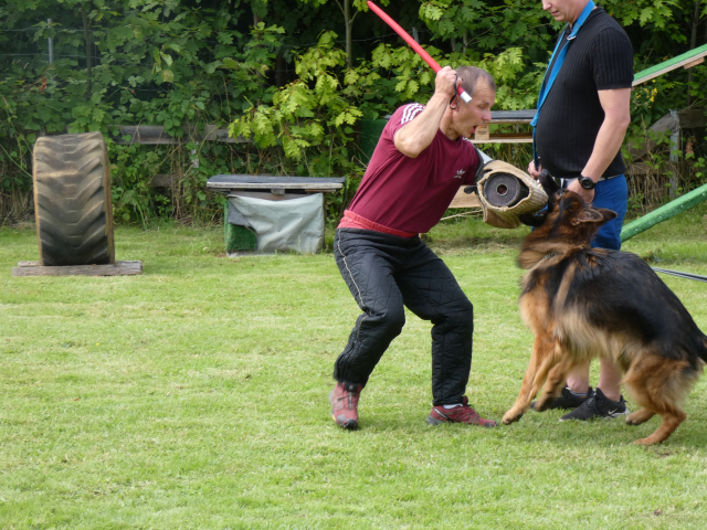 Zapraszam na egzaminy 14-10-2023r ZKwP Oddział/Będzin.