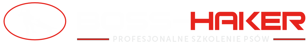 szkolenia.boss-haker.pl