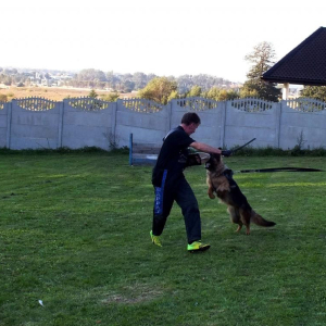 rossa-boss-hakerna-szkoleniu-1-20171010-1269973669