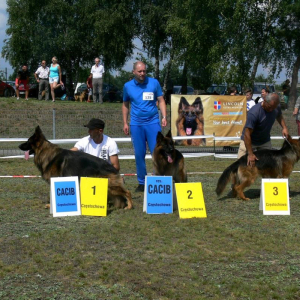 wystawa-czstochowa-hassan-boss-haker-1-20170927-1985831878