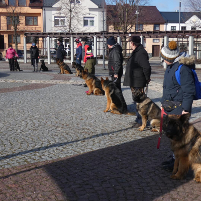 szkolenie-w-plenerze-1-20220213-1620665389