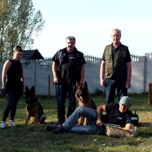 egzaminy-zaliczone-1-20181012-1426365397