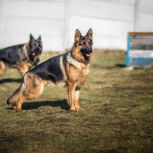 szkolenie-3-20180327-1854410262