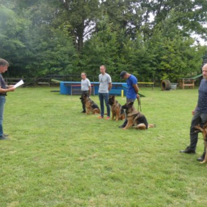 egzaminy-2020r-2-20200917-2012304294