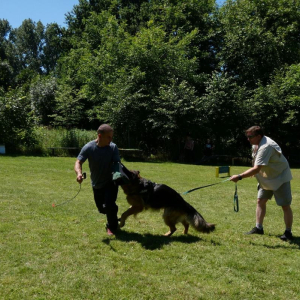 sobotnie-szkolenie-4-20200917-1818705882