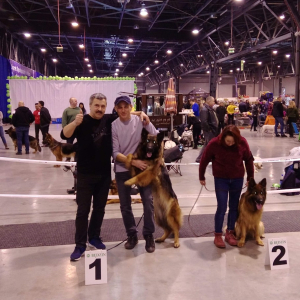 wystawa-bdzin-2020r-armi-zwycizca-rasy-1-20200205-1606481972